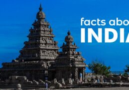 Amazing Facts About India