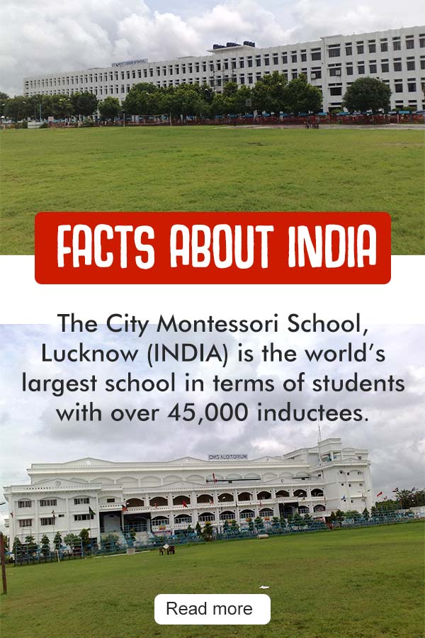 The City Montessori School