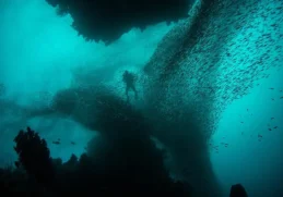 Interesting Facts About the Mariana Trench