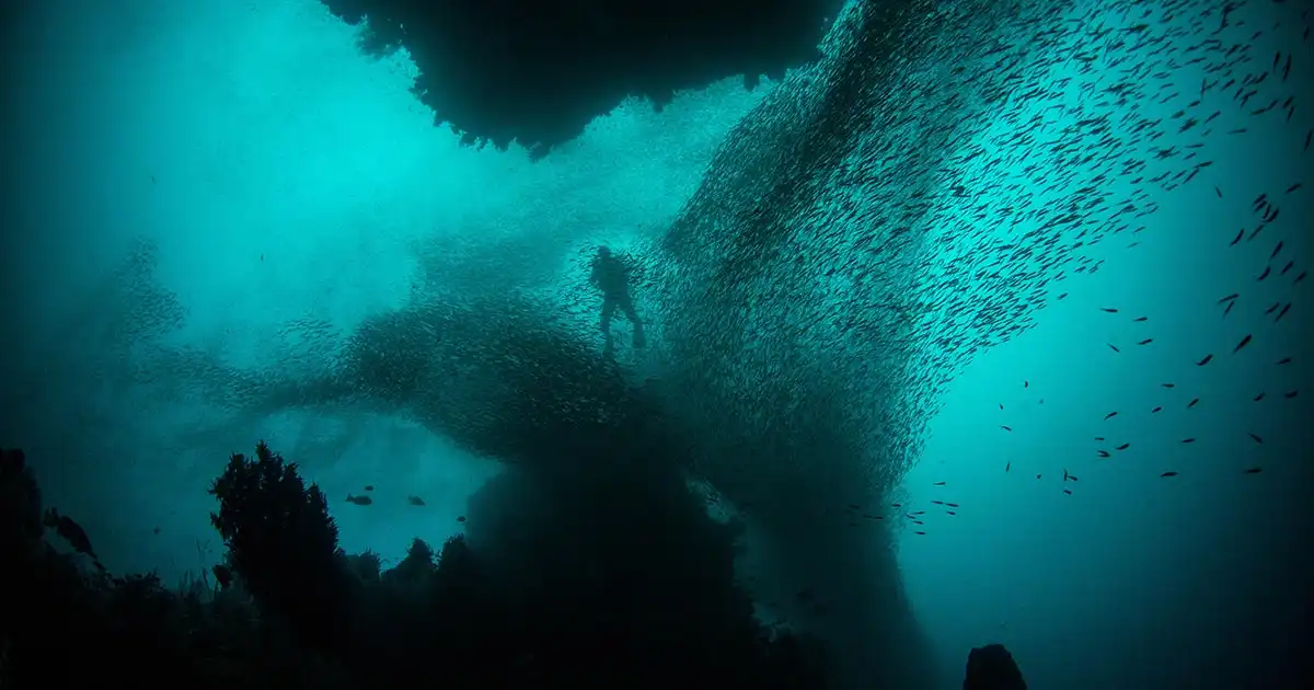 Interesting Facts About the Mariana Trench