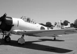 Facts about Kamikaze