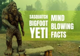 Interesting Facts about Bigfoot