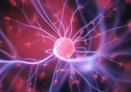 Facts about the Human Brain