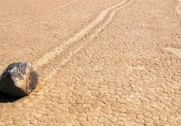 Bizarre Natural Phenomena Exploring the Wonders of Nature