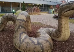 Facts About Titanoboa copy
