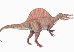 Interesting Facts About Spinosaurus copy