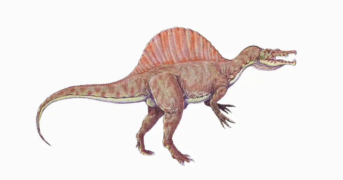Interesting Facts About Spinosaurus copy