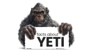 Interesting Facts about Yeti